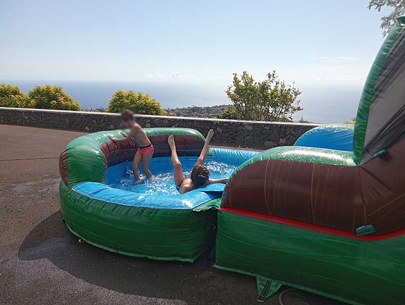 Al Agua Dino